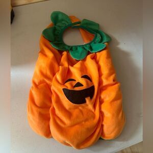 Pumpkin Costume for dogs - Orange and Green